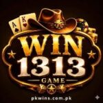 Win1313